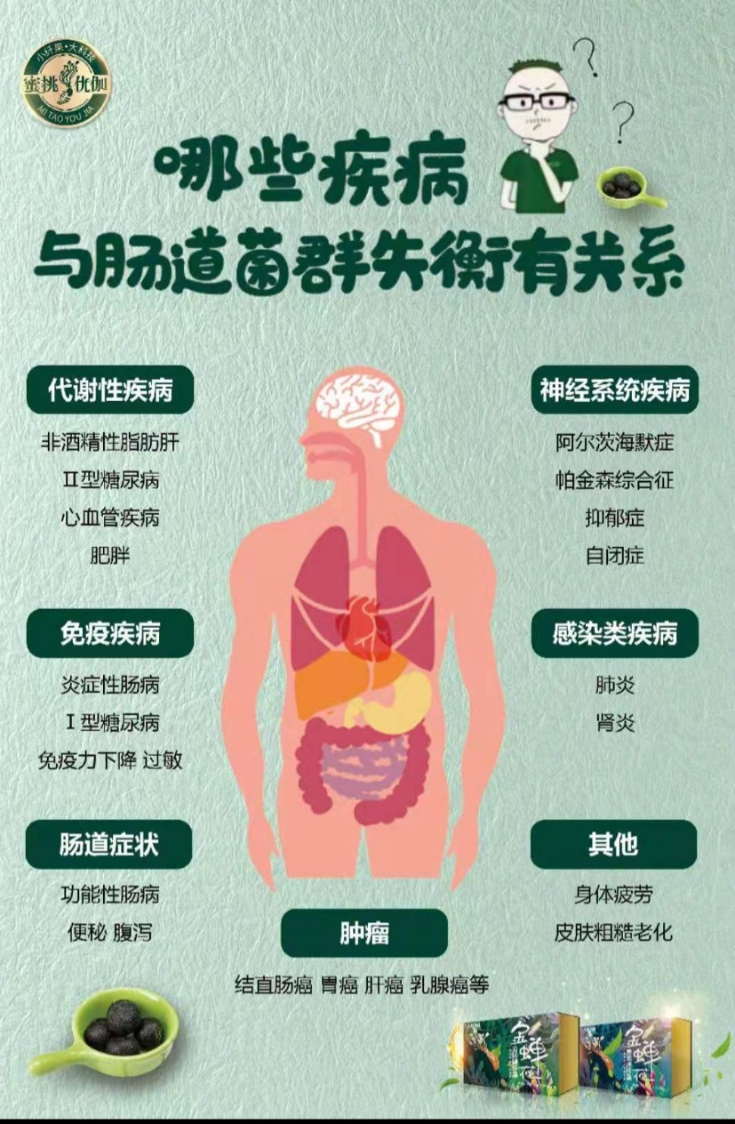 金蝉花膳纤果